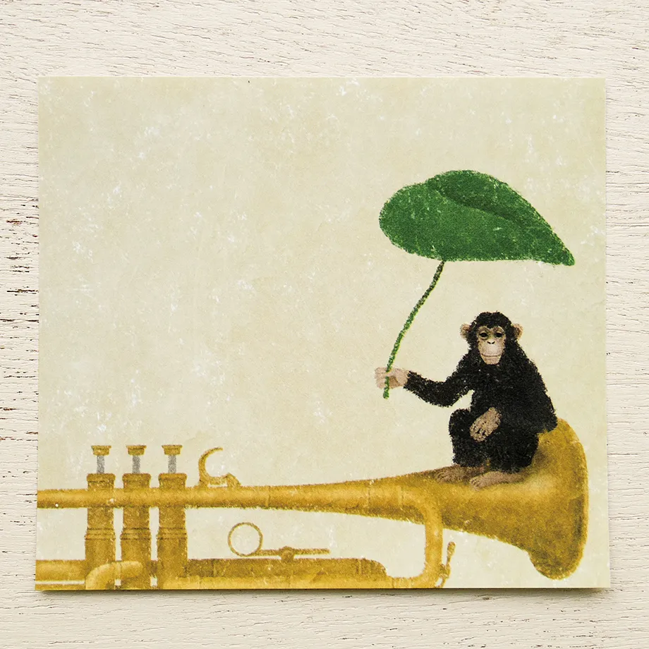 Imagen del producto 5